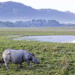 12 Easy-to-Follow Rules for Maintaining Healthy Eyes